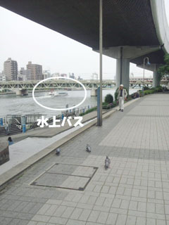 201205171140011