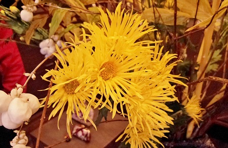 20141102_100250