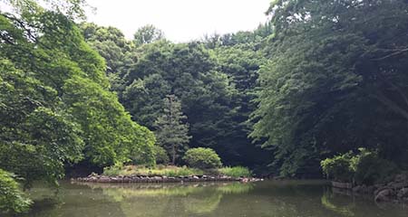 Img_0972_2
